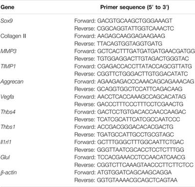 The Attenuating Effect of Low-Intensity Pulsed Ultrasound on Hypoxia-Induced Rat Chondrocyte Damage in TMJ Osteoarthritis Based on TMT Labeling Quantitative Proteomic Analysis